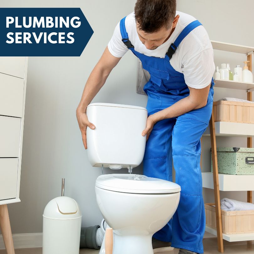 Plumbing Company in Sunfield, MI